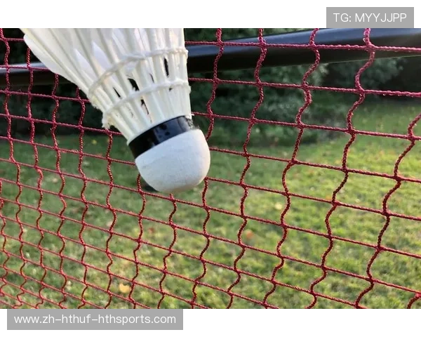 羽毛球比赛中身体触网的规则解析与常见误区分析